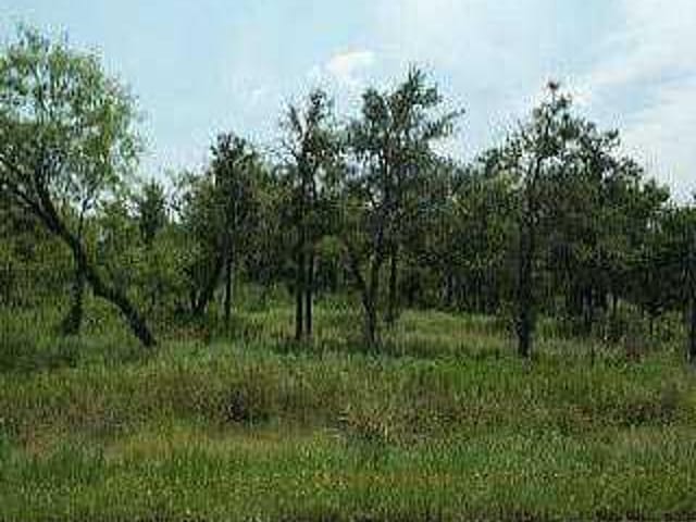210 Oak Arbor