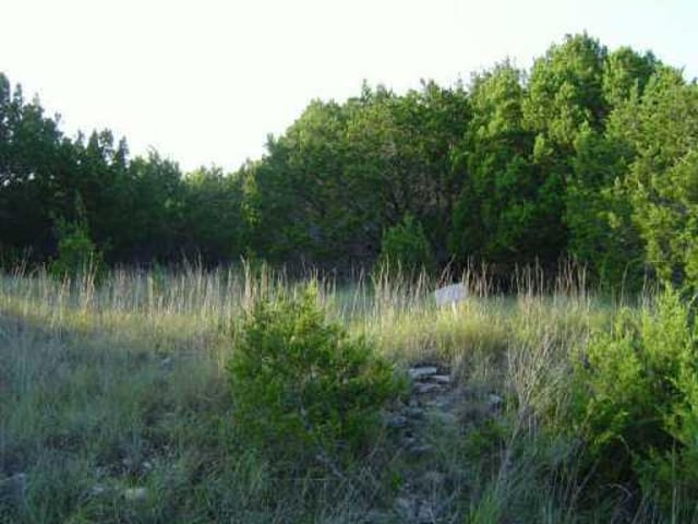 21005 Nocona CV