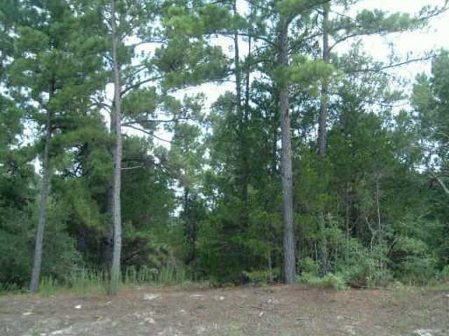 211 Pony Express DR