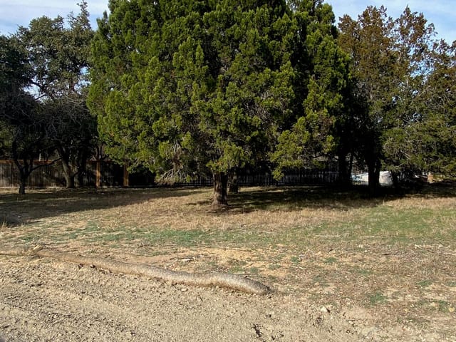 212 Cactus Corner