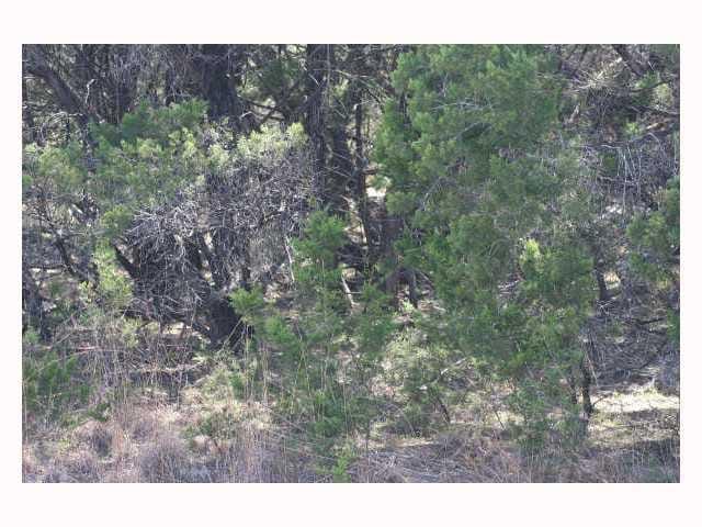 21205 La Paloma DR