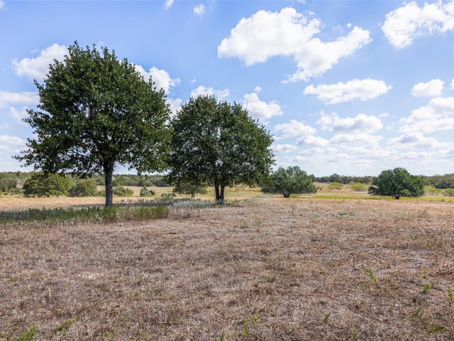 2135 Mule Creek. RD