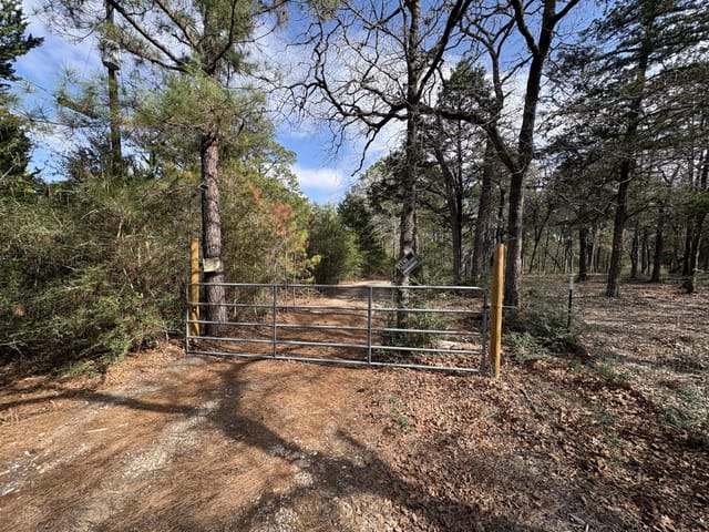 217 Kestrel Ln