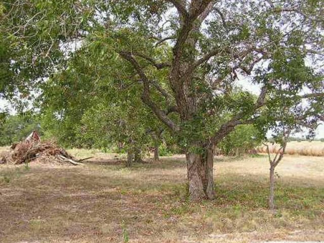 2179 Borchert LOOP