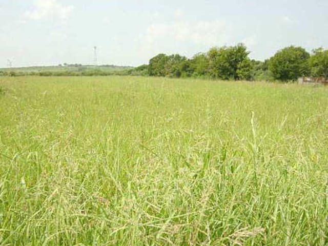2179 Borchert LOOP