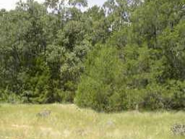 218 Pine Valley DR