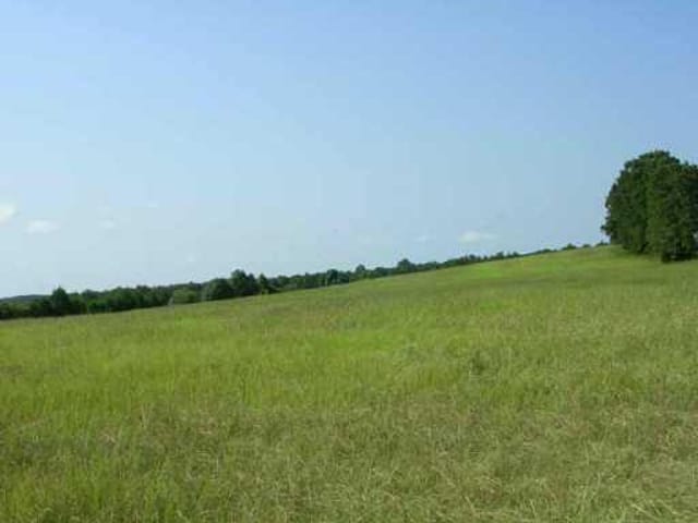 2181 Hwy 304