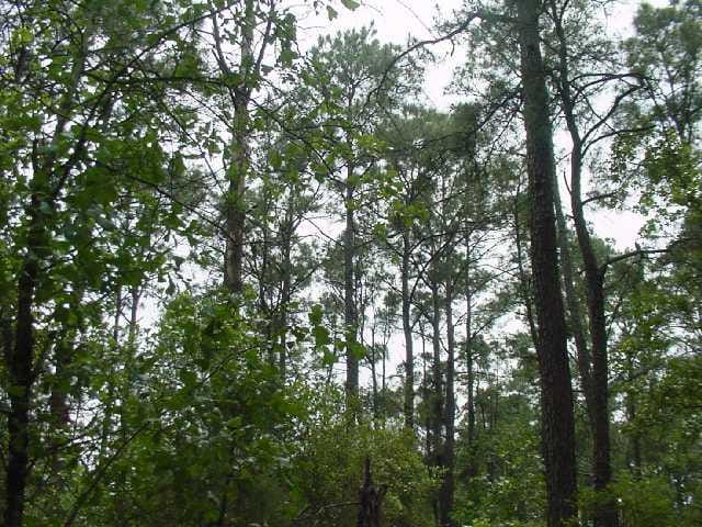 22 State Park Road 1