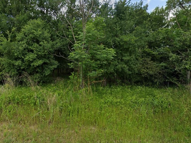22 Timberforest Dr