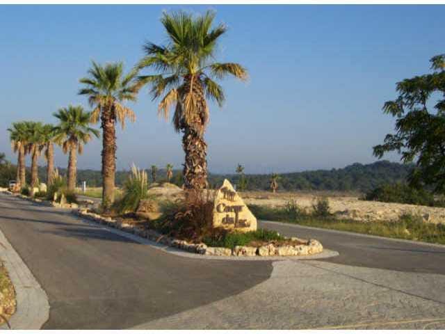22002 Beacon Point CV