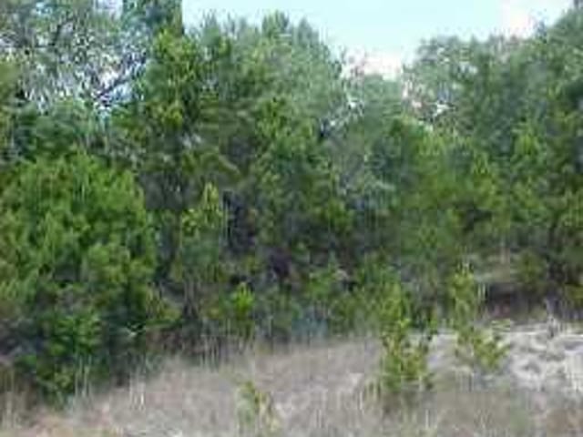 22003 Plockton