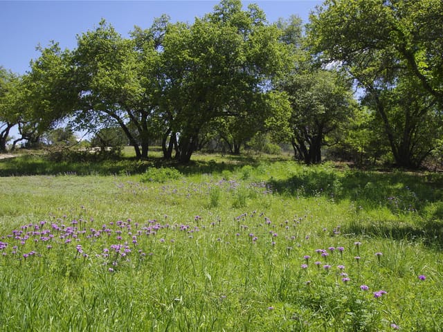 22007 Nameless Rd