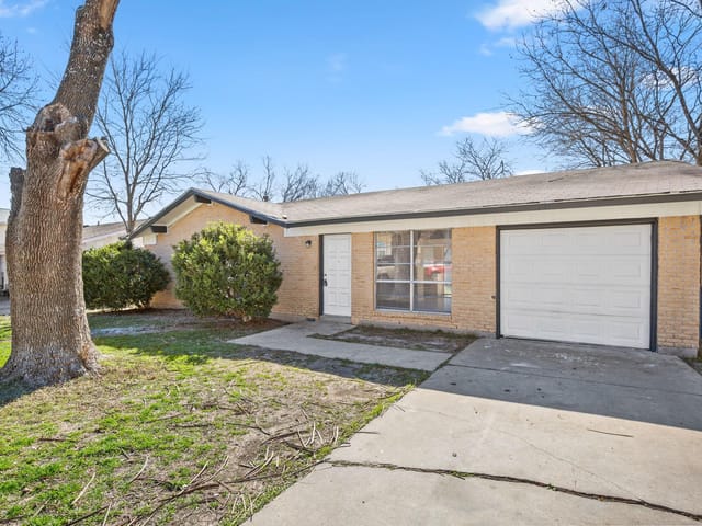 2207 Palmera Cv