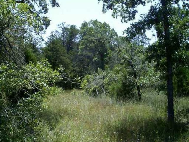 222 Corral