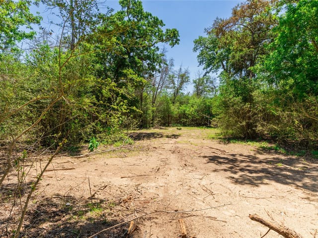 224 Pine Valley DR