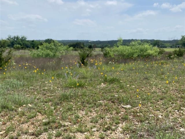 225 County Road 2227