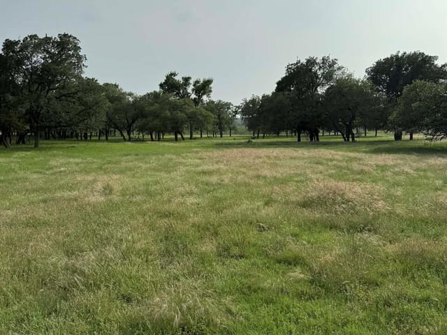 2251 County Road 234 LN