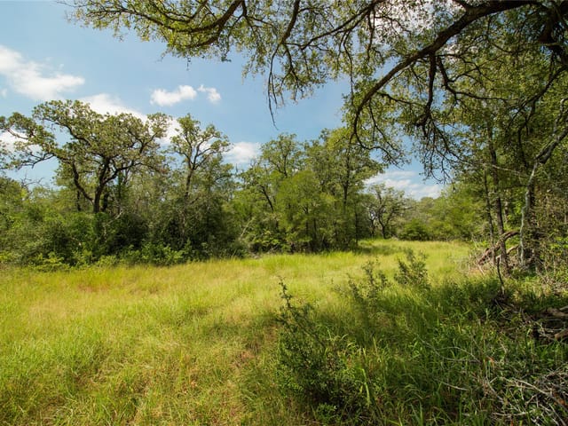 2252  Bluestem Crest Ln  