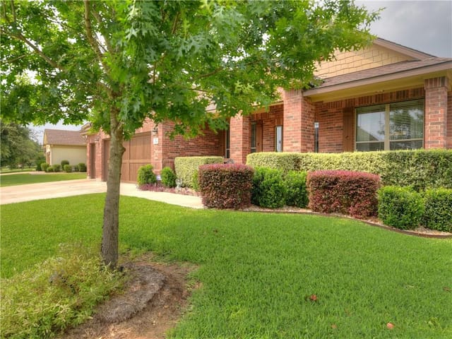 228 Camperdown Elm Dr