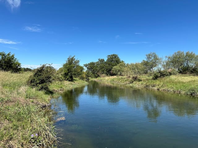 23 acres County Road 330
