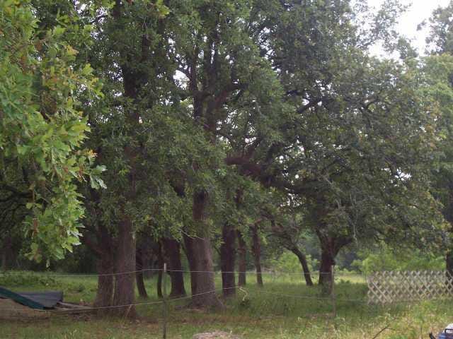2301 County Road    229