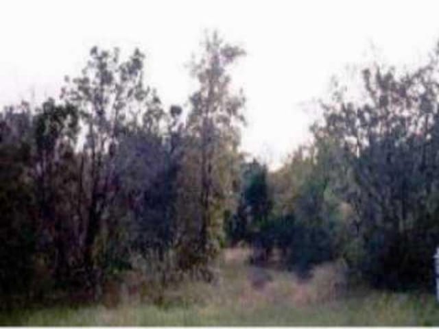 2303 CAMINO DEL VERDES PL