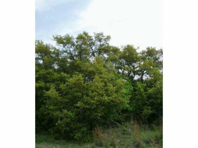 2306 Red Fox RD