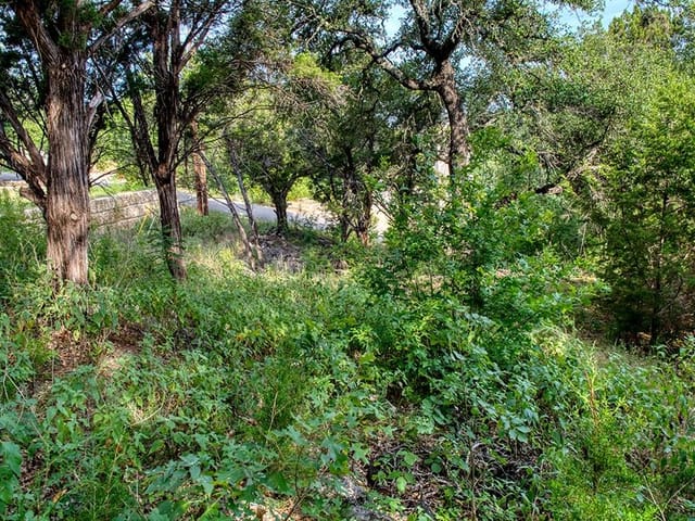 2313 Red Fox Rd
