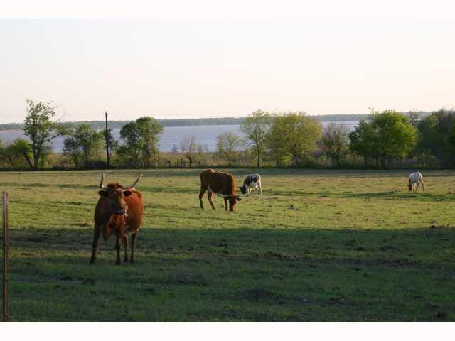 23150 FM 971 38.27 ACRES