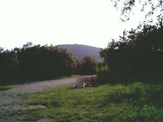 23241 Nameless RD