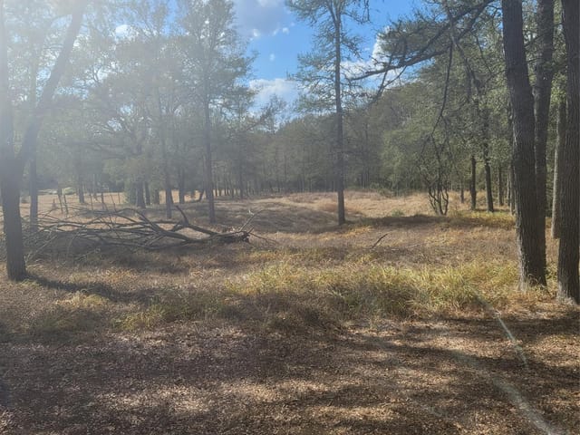 2492 Fm 1704