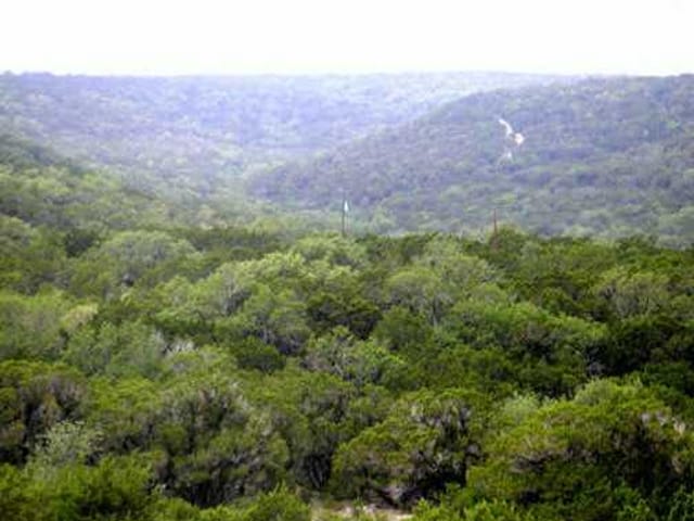 25 Mountain Top CIR