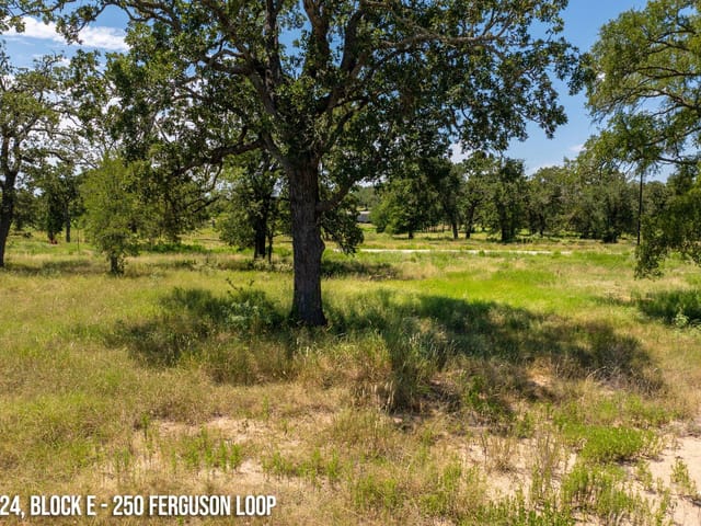 250 Ferguson Loop