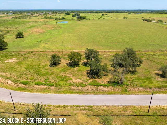 250 Ferguson LOOP