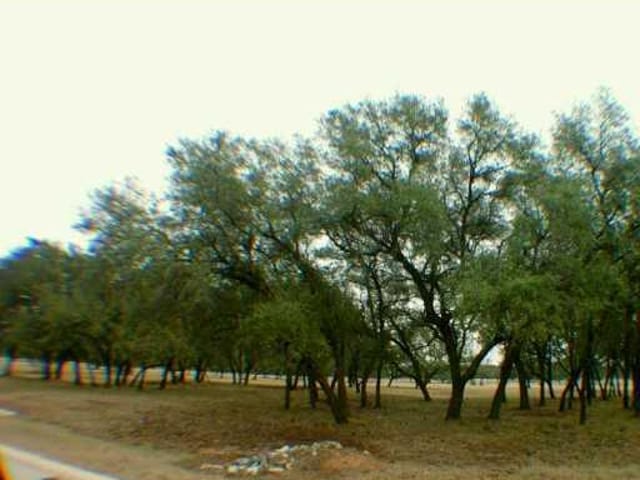 2501 FALL CREEK ESTATES DR