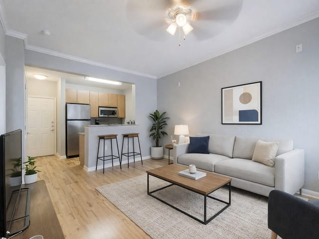 2502 Leon ST Unit #313