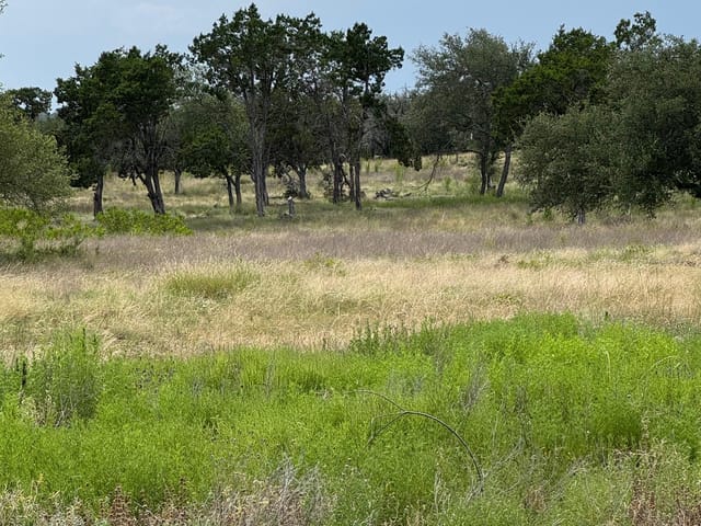251 Pioneer Trl