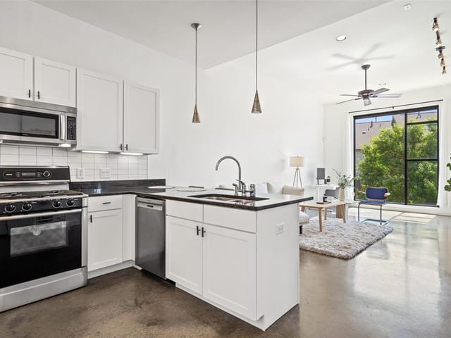 2525 S Lamar Blvd Unit #316