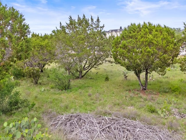 2542 Black Bear DR