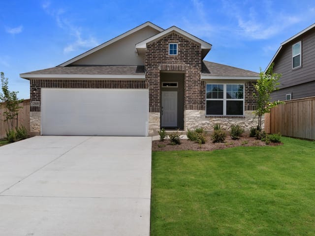 25608 Wheat Seed LN