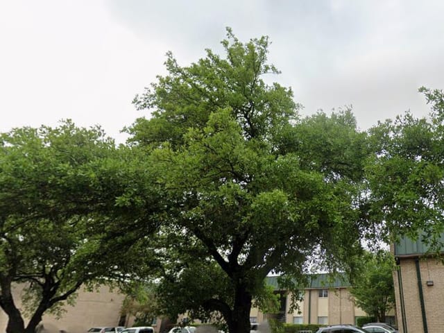 2600 Penny Ln Unit #207