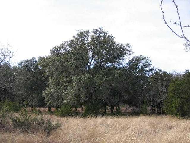 26209 Hamilton Pool RD