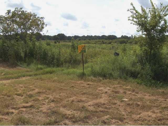 2670 Fm 3158