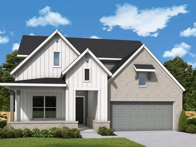 278 Cactus Wren CT