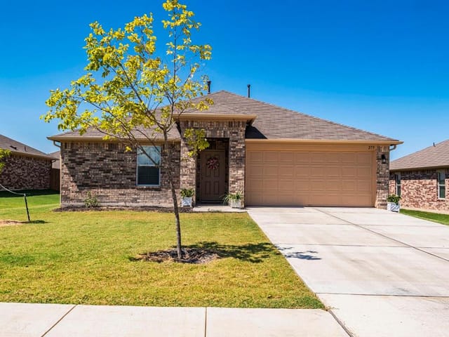 279 Dusky Thrush DR