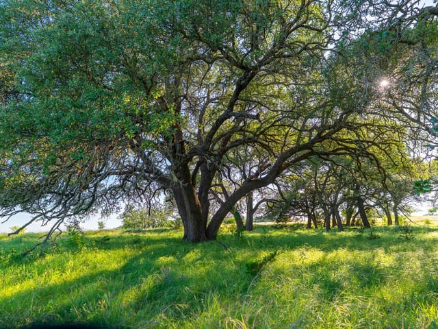 28 Feild Ranch RD