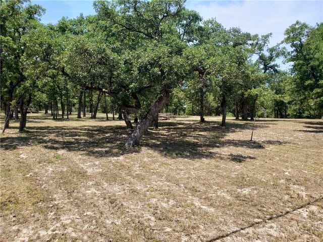 287 Corral RD