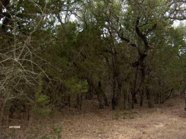 29 Inwood Forest