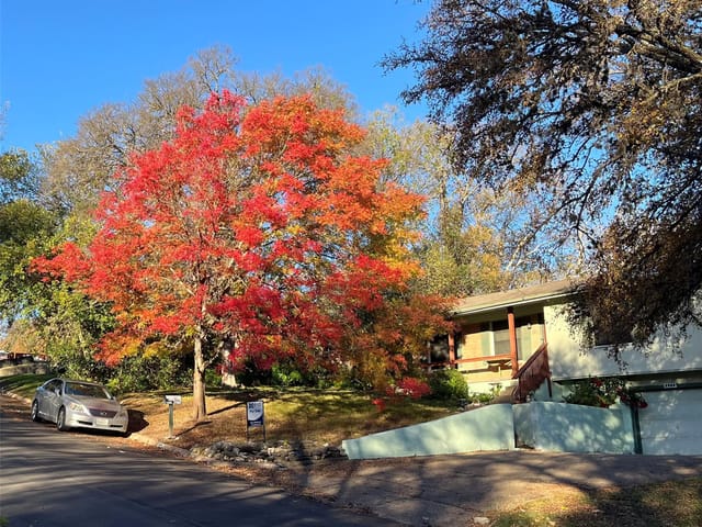 2906 Oakhaven Dr