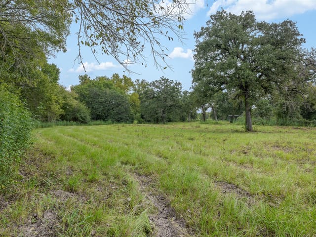 2997 County Road 258